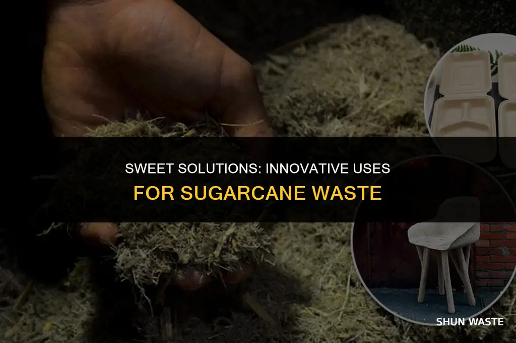 what can we do with sugarcane waste