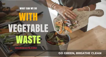 From Scraps to Resources: Innovative Ways to Upcycle Vegetable Waste