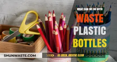 Transforming Trash: Innovative Ways to Repurpose Plastic Bottles