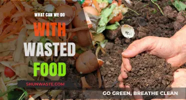 From Waste to Worth: Innovative Ways to Repurpose Food Scraps