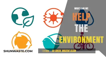 Sustainable Actions: How We Can Protect and Restore Our Environment