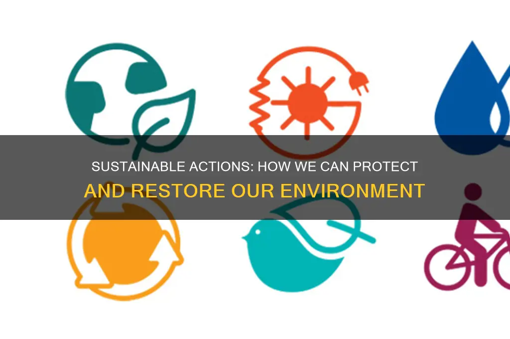 what can we help the environment