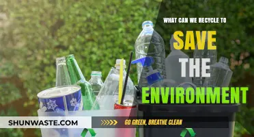 Recycling Essentials: Everyday Items to Protect Our Planet and Reduce Waste