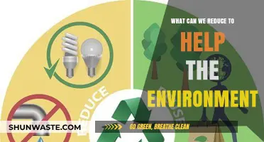 Simple Eco-Friendly Steps: Reducing Waste for a Greener Planet