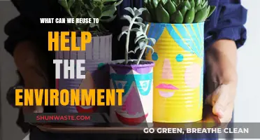 Sustainable Living: Creative Ways to Reuse Items and Protect Our Planet