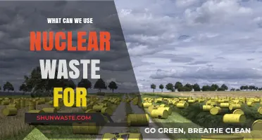 Repurposing Nuclear Waste: Innovative Uses for a Radioactive Resource