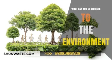 Sustainable Actions: Your Impactful Contributions to a Greener Environment