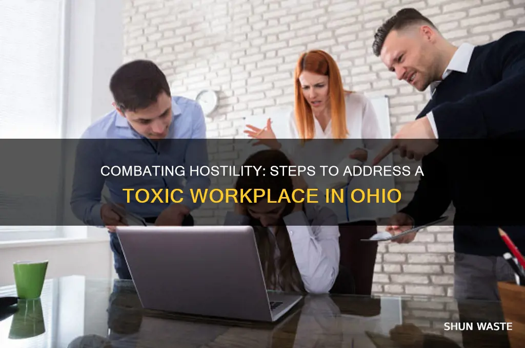 what can you do about a hostile work environment ohio
