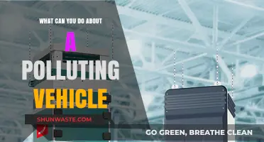 Green Solutions: Reducing Pollution from Your Car