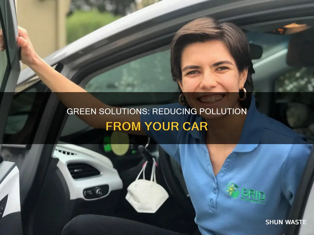 what can you do about a polluting vehicle