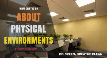 Transforming Physical Spaces: Practical Steps for Healthier, Sustainable Environments