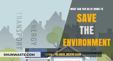 Eco-Friendly Home Habits: Simple Ways to Protect Our Planet Daily