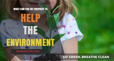 Simple Daily Habits to Protect Our Planet and Preserve Nature