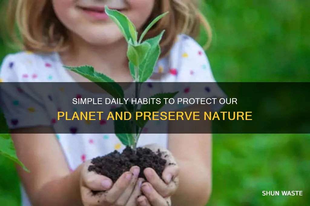 what can you do everyday to help the environment