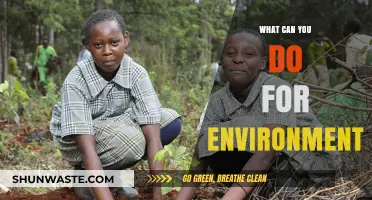 Sustainable Steps: Simple Actions to Protect and Preserve Our Environment