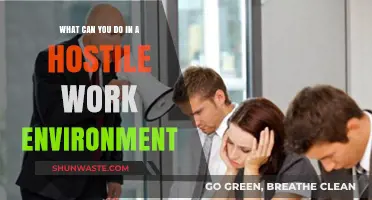 Surviving and Thriving: Strategies for Hostile Work Environment Challenges