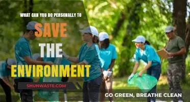 Sustainable Steps: Personal Actions to Protect Our Planet Daily