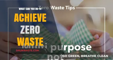 Sustainable Living: Practical Steps to Achieve Zero Waste