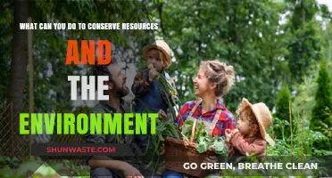 Sustainable Living: Simple Steps to Protect Our Planet and Resources