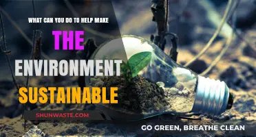 Sustainable Living: Simple Steps to Protect Our Planet and Future