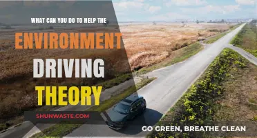 Eco-Friendly Driving: Simple Theory Tips to Protect Our Planet