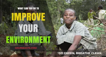 Sustainable Steps: Simple Actions to Enhance Your Environment Today