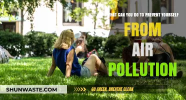 Breathing Clean: Simple Steps to Avoid Air Pollution's Harms