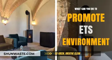 Sustainable Living: Simple Steps to Promote an ETS-Friendly Environment