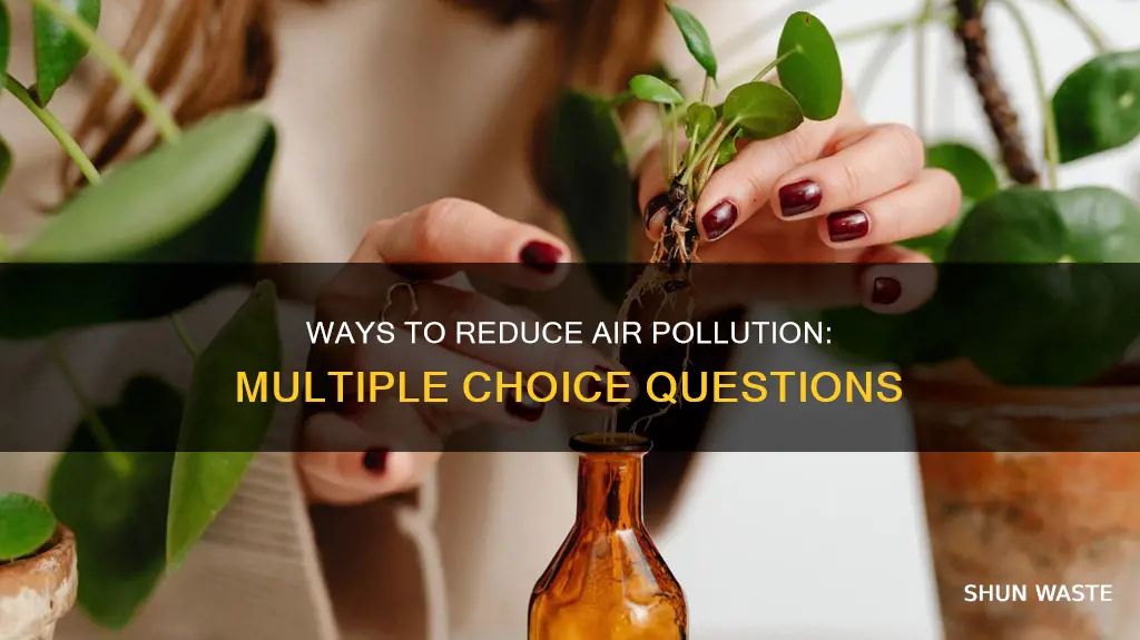 what can you do to reduce air pollution mcq