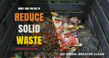 Sustainable Living: Simple Steps to Minimize Solid Waste