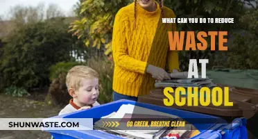 Eco-Friendly School Habits: Simple Steps to Reduce Waste