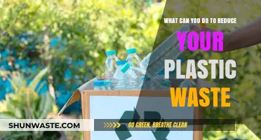 Simple Steps to Slash Your Plastic Waste Today