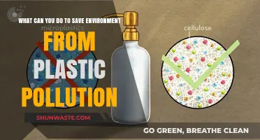 Combat Plastic Pollution: Simple Steps to Protect Our Planet