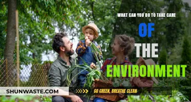 Sustainable Living: Simple Steps to Protect Our Planet Daily