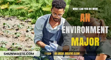 Exploring Career Paths: Opportunities with an Environmental Studies Degree
