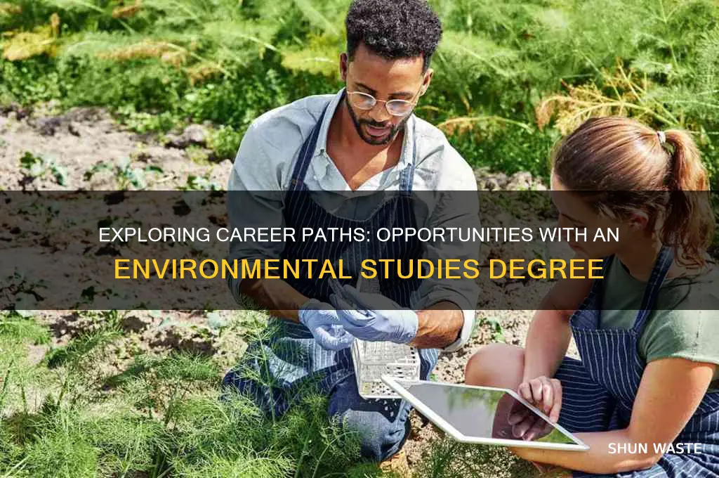 what can you do with an environment major