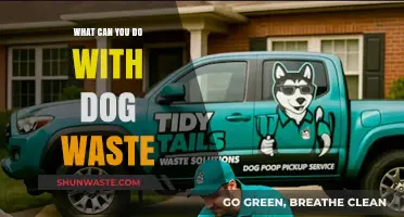 Eco-Friendly Solutions: Transforming Dog Waste into Valuable Resources