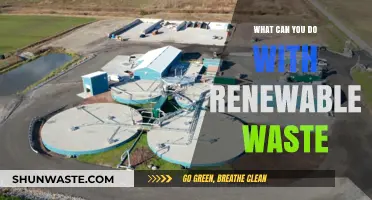 Sustainable Solutions: Innovative Ways to Repurpose Renewable Waste