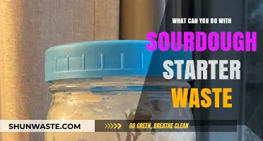 Creative Ways to Repurpose Sourdough Starter Waste