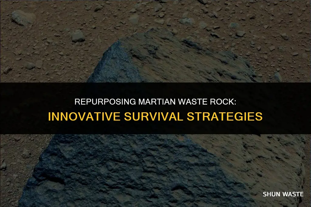 what can you do with waste rock surviving mars