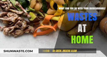 Eco-Friendly Living: Transforming Biodegradable Wastes into Home Resources