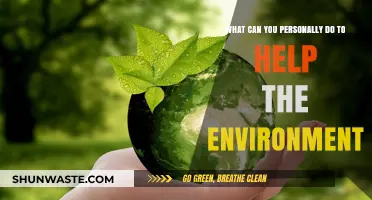 Sustainable Living: Simple Personal Actions to Protect Our Planet