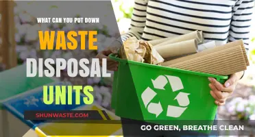 Eco-Friendly Disposal: What Can You Safely Put Down Waste Disposal Units?