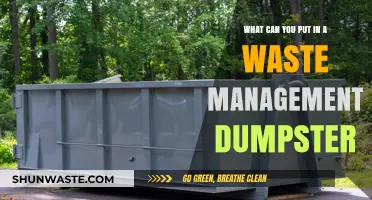 Eco-Friendly Disposal: A Guide to Waste Management Dumpster Use