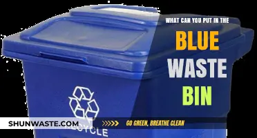 Eco-Friendly Disposal: A Guide to Blue Bin Recyclables