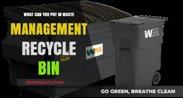 Eco-Friendly Disposal: A Guide to Waste Management Recycle Bins