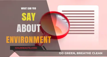 Exploring Our Environment: Impacts, Conservation, and Sustainable Living Insights
