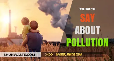 Unveiling the Dark Side of Pollution: A Comprehensive Overview