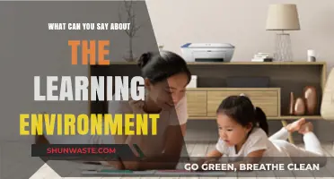 Creating Optimal Learning Environments: Strategies for Engagement and Success