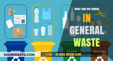 Everyday Toss-Aways: A Guide to General Waste Disposal